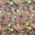 Printed Pashmina